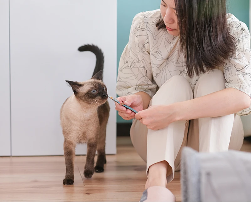 猫と戯れている単身女性