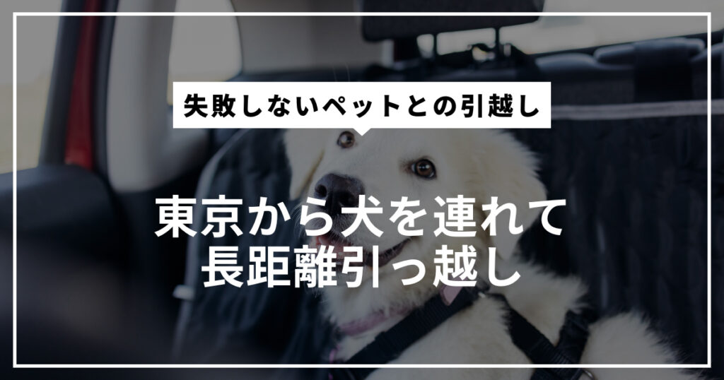 東京から犬を連れて長距離引っ越し|失敗しないペットとの引越し