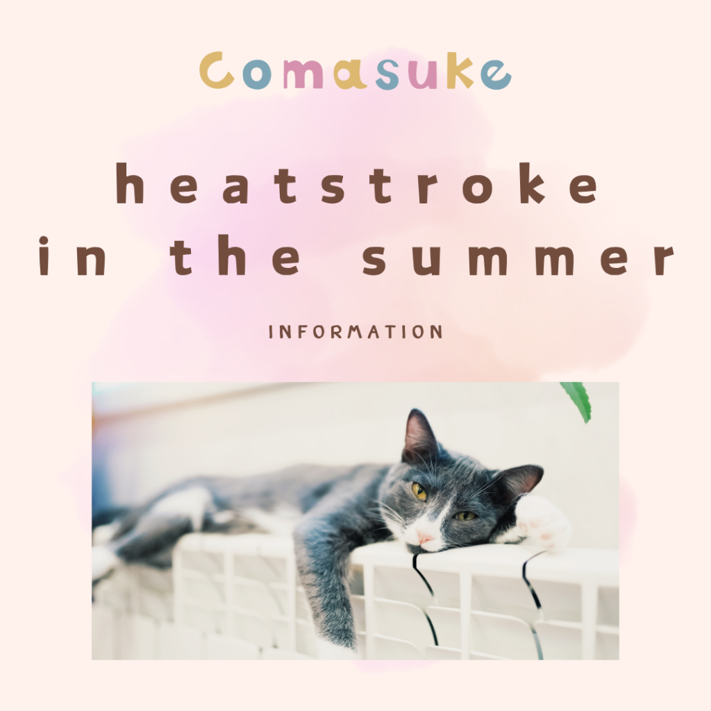 heatstroke in the summer