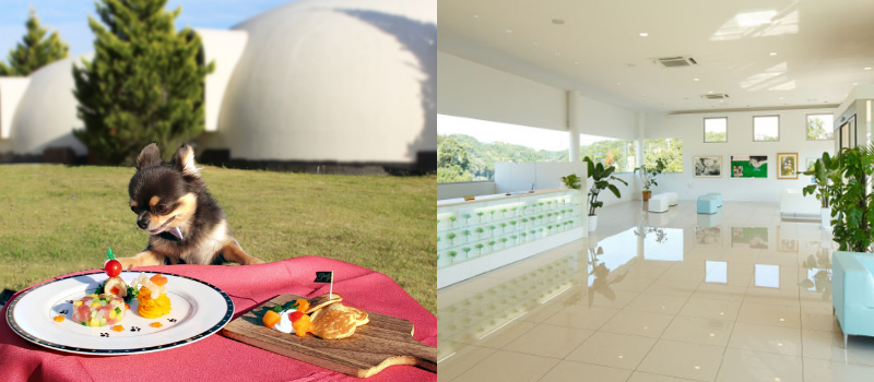 犬と泊まれる宿とれとれヴィレッジ