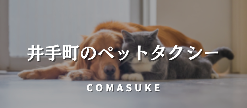 井手町のペットタクシー
