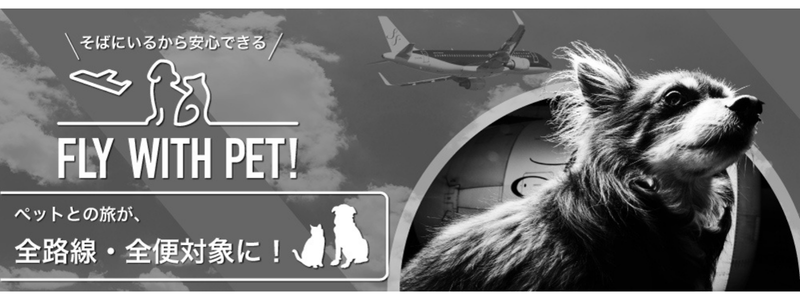 スターフライヤー