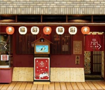 ネコリパブリック大阪　猫浴場