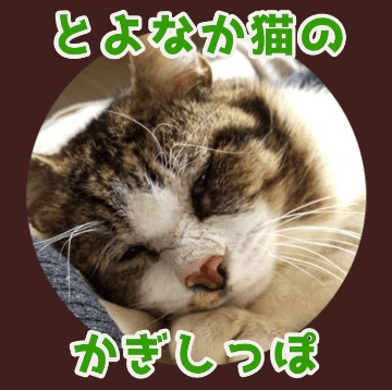 とよなか猫のかぎしっぽ