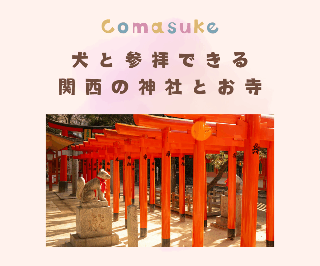 犬と参拝できる関西の神社とお寺