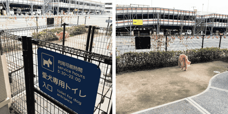 愛犬専用トイレ