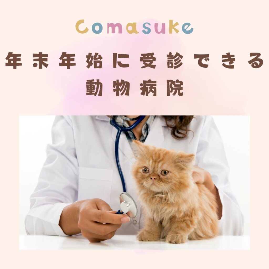 年末年始に診療している北摂の動物病院