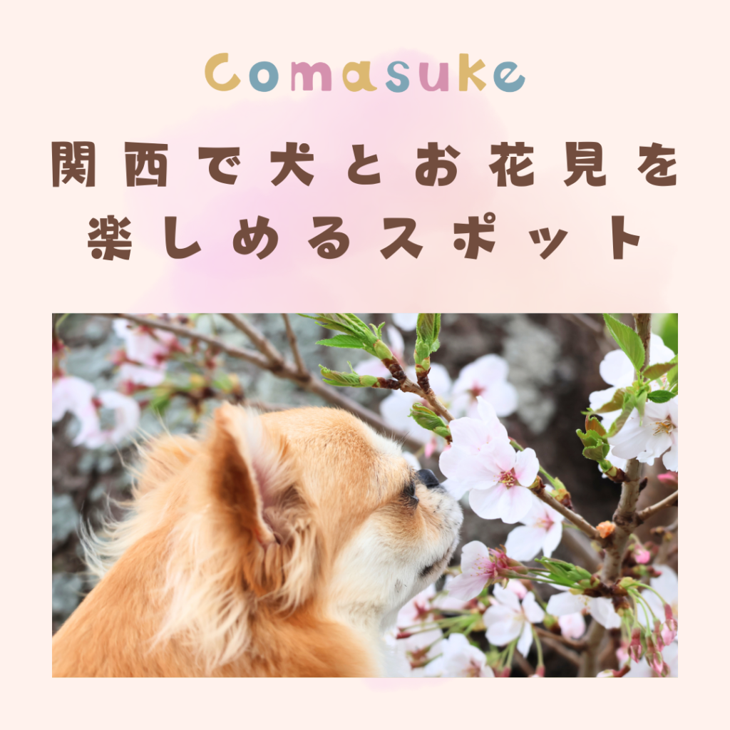関西で犬とお花見を楽しめるお出かけスポット