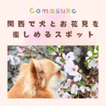 関西で犬とお花見を楽しめるお出かけスポット
