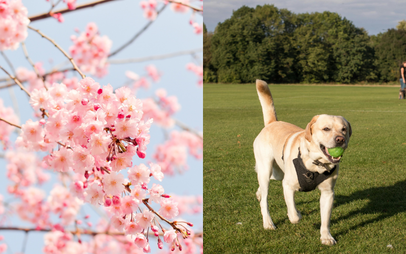 兵庫県立淡路島公園