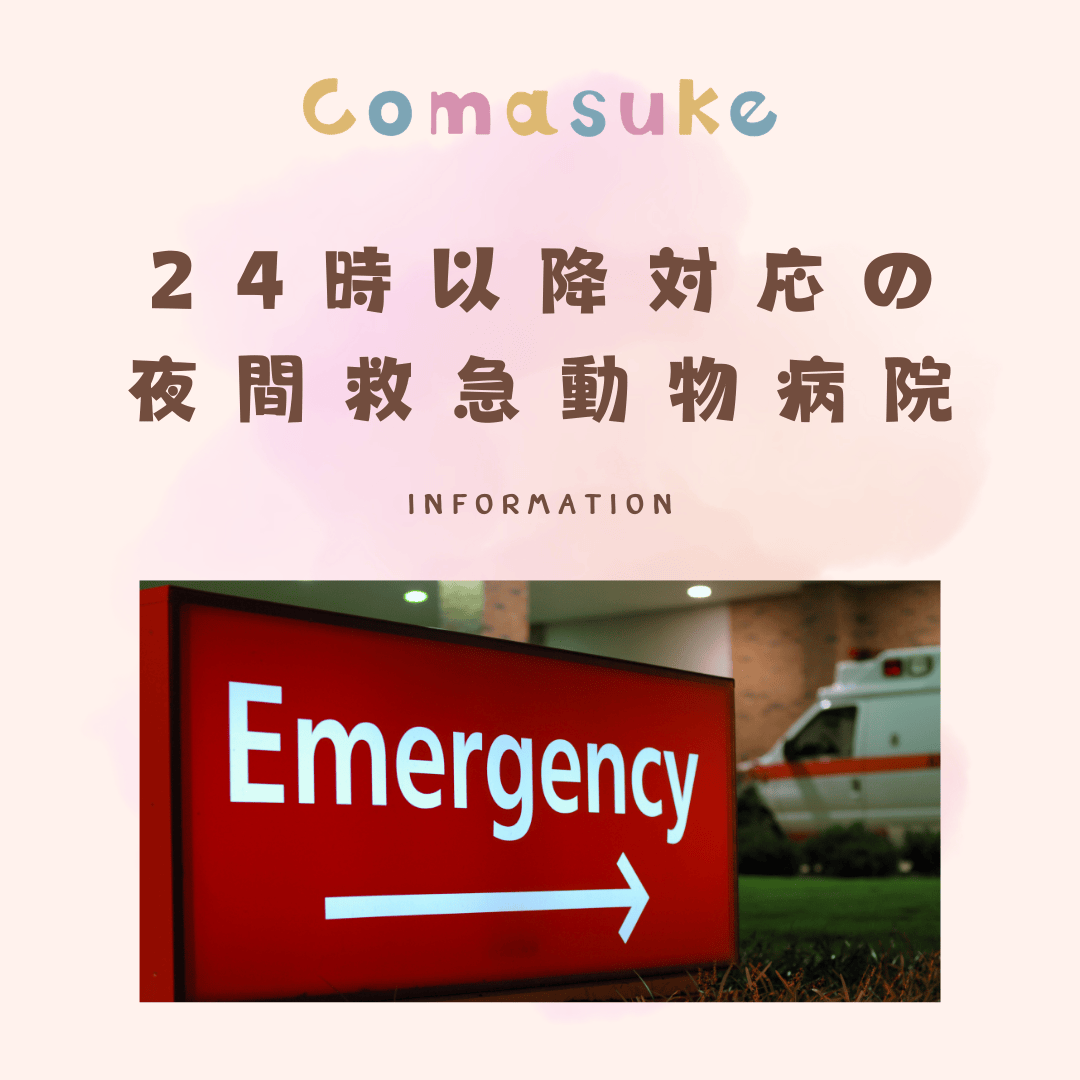 24時以降対応の 夜間救急動物病院