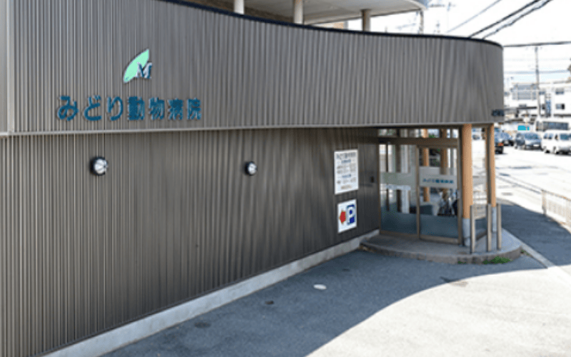 高槻動物医療センター みどり動物病院