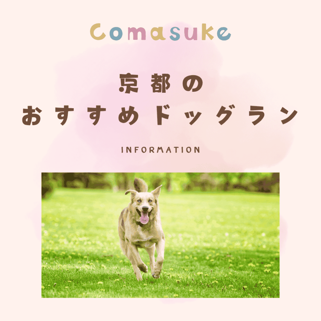 京都のドッグラン