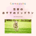 京都のドッグラン