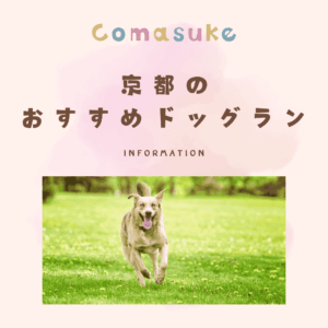京都のドッグラン